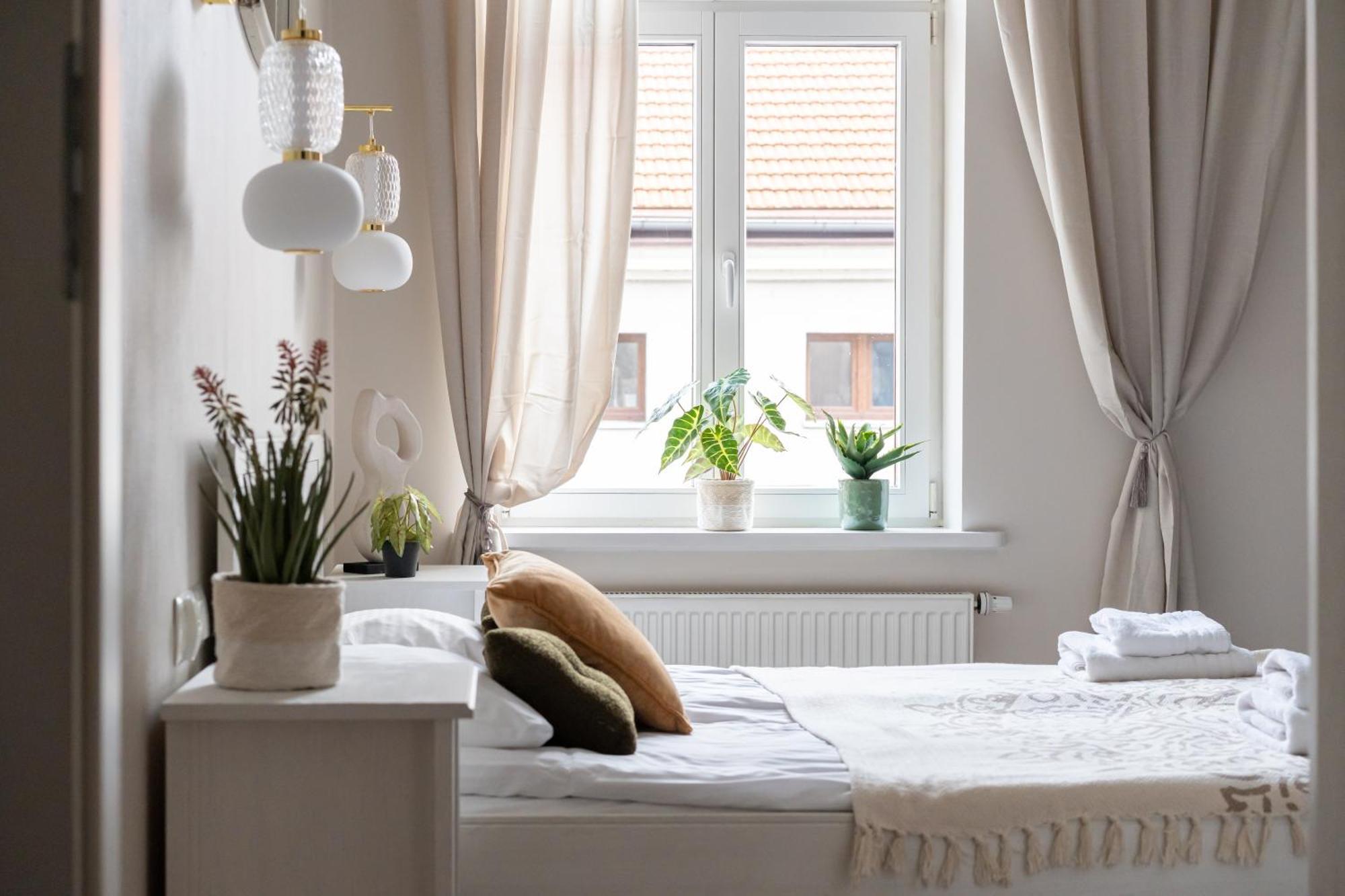 Apartamenty Stary Toruń - BIANCO Zewnętrze zdjęcie